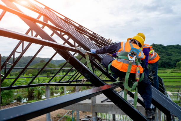 Best Sealant for Roof  in South Rockwood, MI