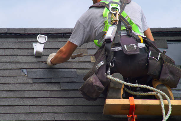 Residential Roof Replacement in South Rockwood, MI