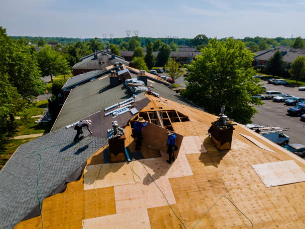 Best Storm Damage Roof Repair  in South Rockwood, MI