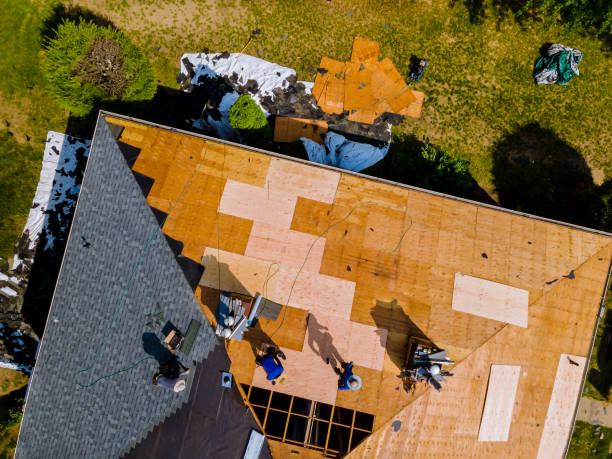 Best Residential Roof Replacement  in South Rockwood, MI