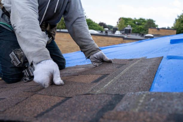 Best Roof Leak Repair  in South Rockwood, MI