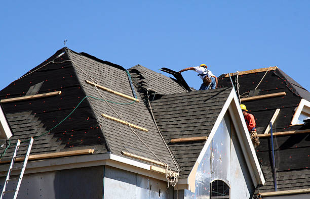 Best Roof Installation Near Me  in South Rockwood, MI