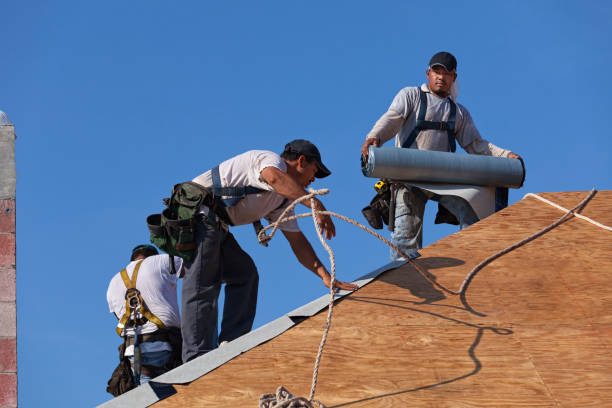 Best Best Roofing Contractors  in South Rockwood, MI