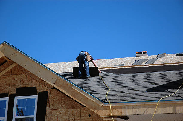 Best Gutter Installation and Roofing  in South Rockwood, MI