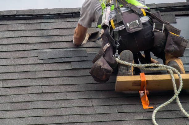 Best Roof Gutter Cleaning  in South Rockwood, MI