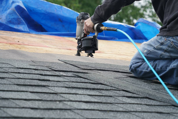 Best Roof Gutter Cleaning  in South Rockwood, MI
