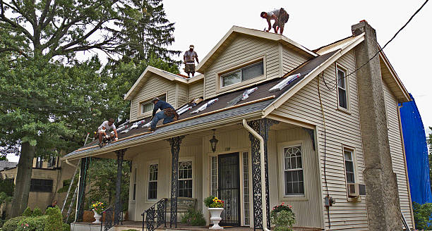 Best Roof Repair Services  in South Rockwood, MI