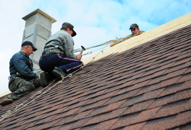 Best Flat Roof Repair Services  in South Rockwood, MI