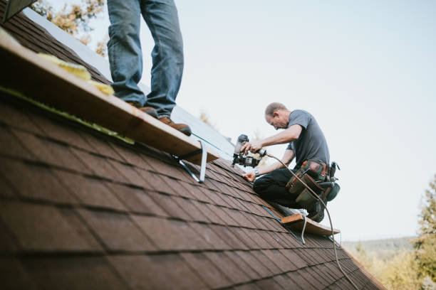 Best Best Roofing Contractors  in South Rockwood, MI