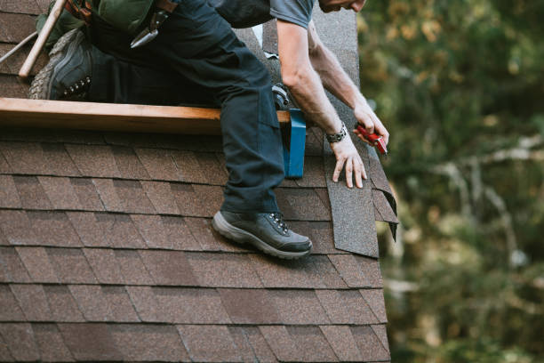 Best New Roof Installation  in South Rockwood, MI